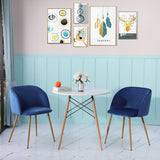 ALOE Petite Velours Chaise de salle à Manger avec Accoudoir et Pieds en Métal - Rose/Bleu/Gris/Vert Cactus